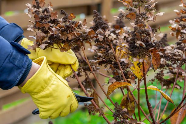 Essential Tools for Fall and Winter Garden Tasks